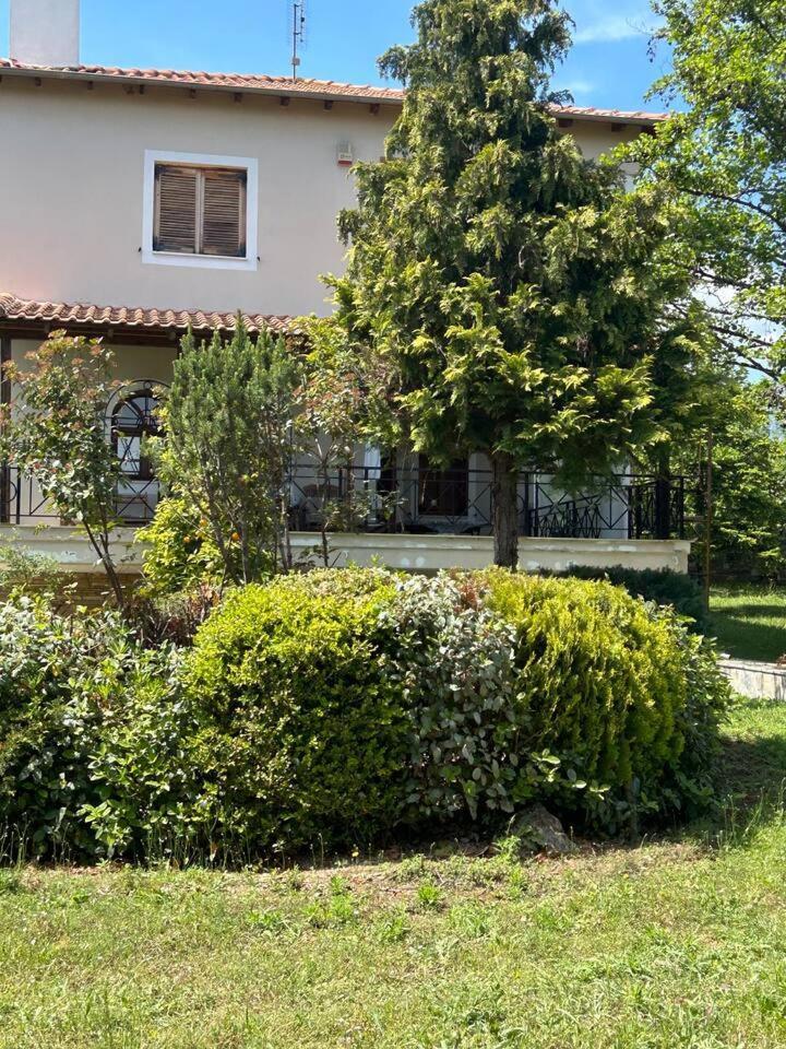 Zeusplace Karia Villa Natura Leptokarya  Exterior photo