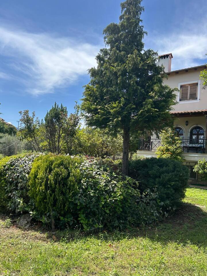 Zeusplace Karia Villa Natura Leptokarya  Exterior photo