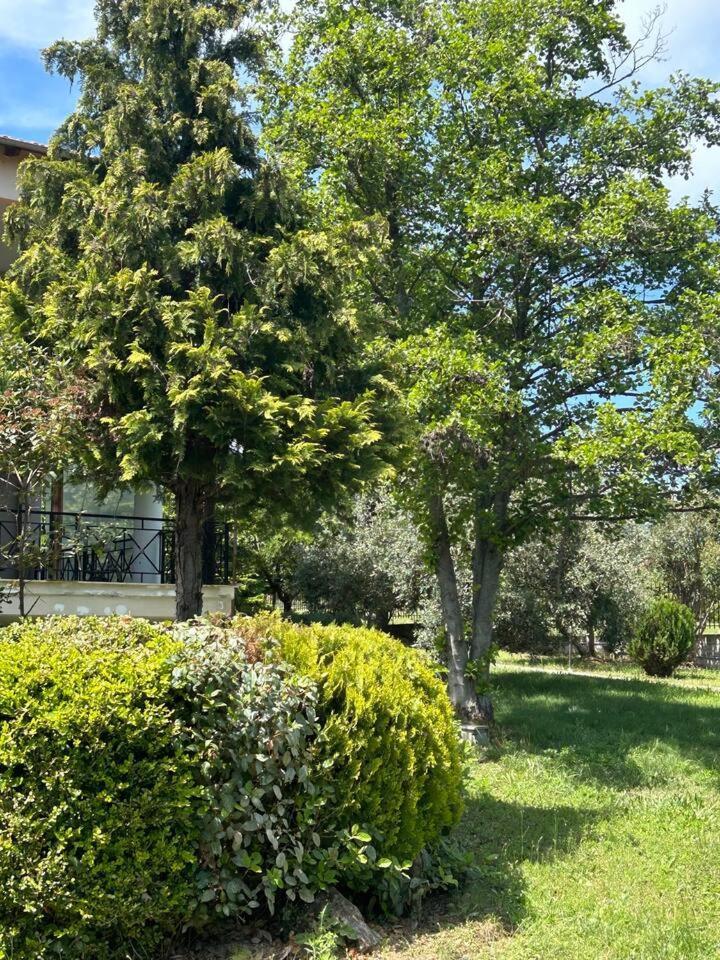 Zeusplace Karia Villa Natura Leptokarya  Exterior photo